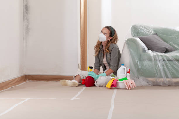 Reliable Mold Inspection And Testing contractor in Fayetteville, TN by Mold Remediation HQ